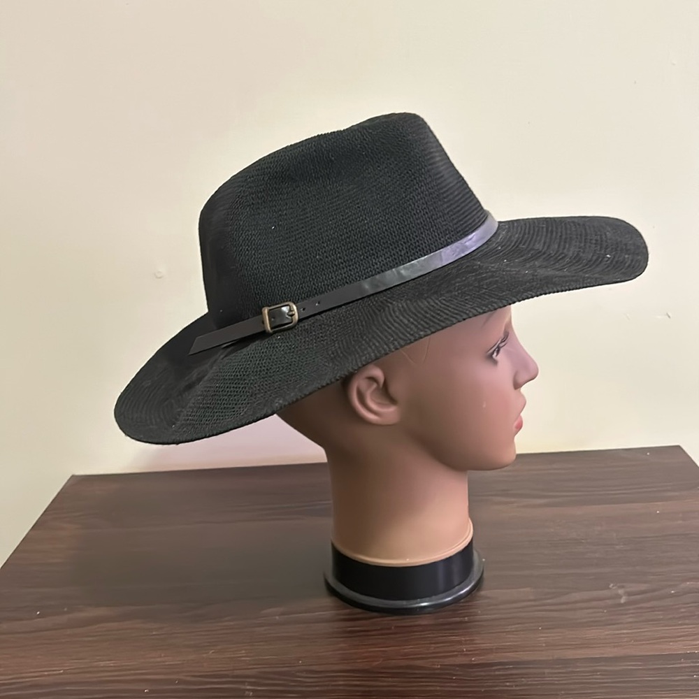 Classic fedora